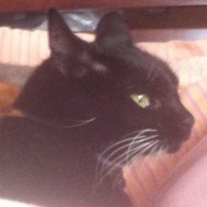 Meet your Posher, Corey